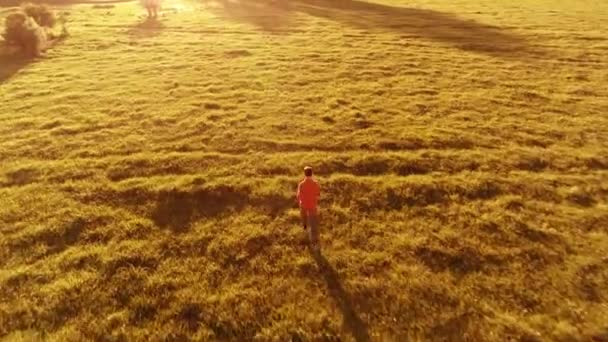 Vuelo sobre el hombre deportivo corriendo en la hierba verde perfecta pradera rural offroad. Puesta de sol en montaña — Vídeo de stock