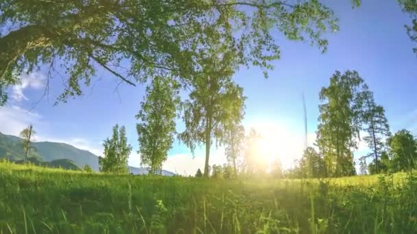 Bergweide time-lapse op de zomer-of herfst tijd. Wilde natuur en landelijk gebied. Gemotoriseerde Slider Dolly beweging. — Stockvideo
