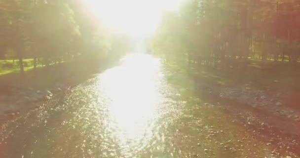 Повітряний політ над свіжою і чистою гірською річкою в сонячний літній ранок — стокове відео