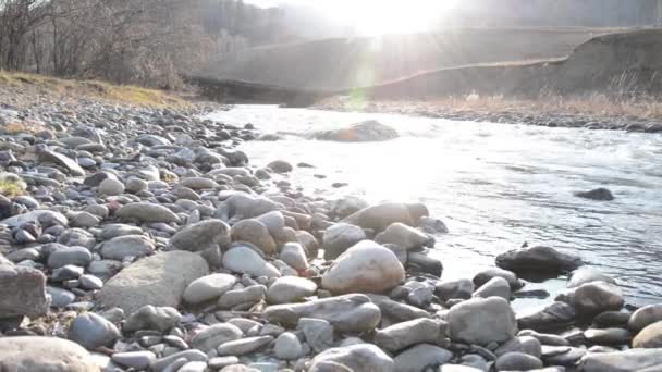 森の近くの山の川で水しぶきのドリースライダーショット。ぬれた岩や太陽の光線。水平安定した動き。生の平色. — ストック動画