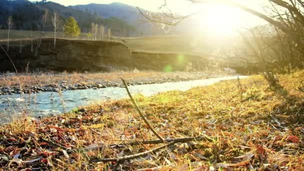 돌리 슬라이더는 숲 근처에 있는 산의 강에서 물을 튀기는 장면을 찍었다. 물갈퀴 바위와 태양 광선. 수평 안정적 인 움직임. — 비디오