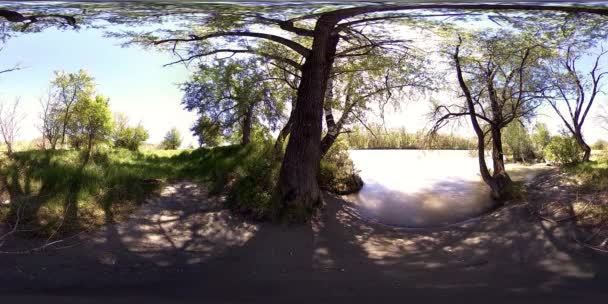 UHD 4K 360 VR La realtà virtuale di un fiume scorre sulle rocce in un bellissimo paesaggio forestale di montagna — Video Stock