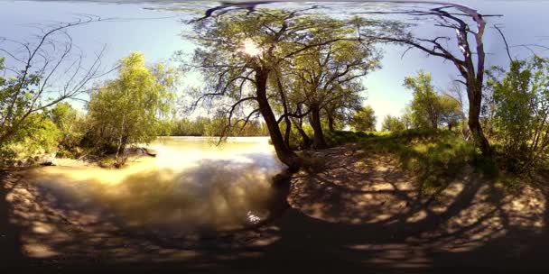 UHD 4K 360 VR La réalité virtuelle d'une rivière coule sur des rochers dans un magnifique paysage de forêt de montagne — Video