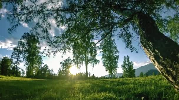 Caducidad del prado de montaña en verano u otoño. Naturaleza salvaje y campo rural. Movimiento de muñeca deslizante motorizado . — Vídeo de stock