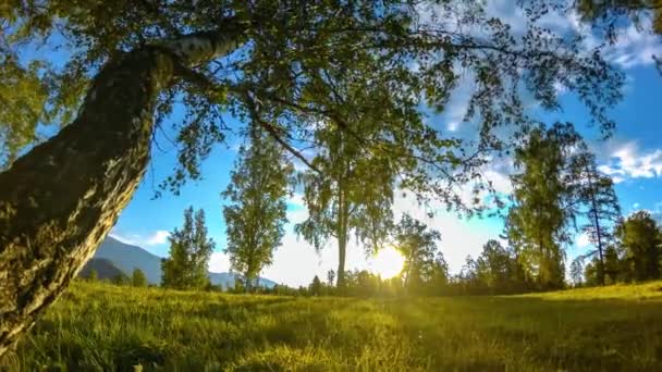 Mountain meadow time-lapse at the summer or autumn time. Wild nature and rural field. Motorised slider dolly movement. — Stock Video