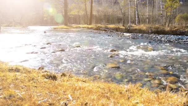 Dolly deslizador de tiro de las salpicaduras de agua en un río de montaña cerca del bosque. Rocas húmedas y rayos de sol. Movimiento horizontal constante. — Vídeo de stock