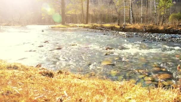 Dolly slider shot of the splashing water in a mountain river near forest. Wet rocks and sun rays. Horizontal steady movement. — Stock Video