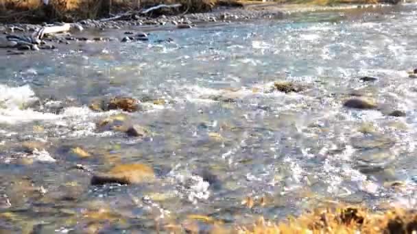 Dolly deslizador de tiro de las salpicaduras de agua en un río de montaña cerca del bosque. Rocas húmedas y rayos de sol. Movimiento horizontal constante. — Vídeos de Stock