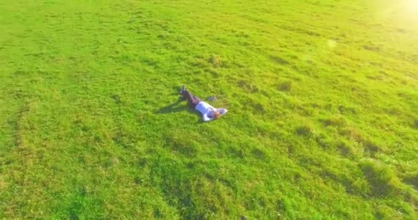 Low orbital flight around man on green grass with notebook pad at yellow rural field. — Stock Video