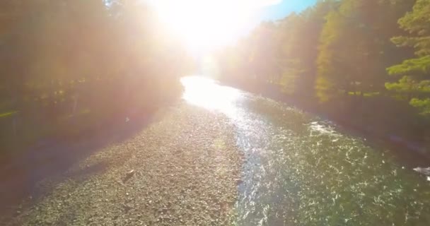 Låg höjd flygning över färska snabba berg flod med stenar på solig sommarmorgon. — Stockvideo