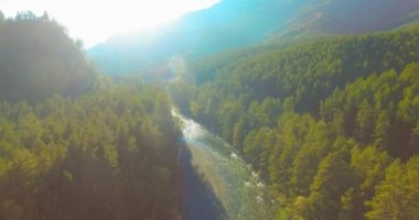 Güneşli yaz sabahında kayalarla birlikte taze, hızlı dağ nehri üzerinde alçak irtifa uçuşu..