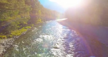 Güneşli yaz sabahında kayalarla birlikte taze, hızlı dağ nehri üzerinde alçak irtifa uçuşu..