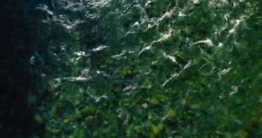 Güneşli yaz sabahında kayalarla birlikte taze, hızlı dağ nehri üzerinde alçak irtifa uçuşu..