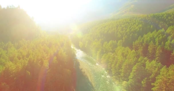 Volo a bassa quota sul fresco fiume di montagna veloce con rocce al soleggiato mattino d'estate. — Video Stock