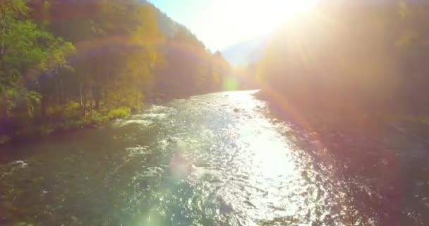Nízká nadmořská výška letu přes čerstvé rychlé horské řeky se skálami na slunné letní ráno. — Stock video
