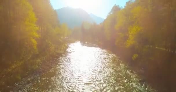 Volo a bassa quota sul fresco fiume di montagna veloce con rocce al soleggiato mattino d'estate. — Video Stock