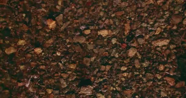 Vol à basse altitude au-dessus d'une rivière de montagne fraîche et rapide avec des rochers au soleil matin d'été. — Video