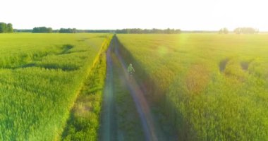 Kırsal yoldaki bir çim tarlasında bisiklet süren genç bir çocuğun hava manzarası. Güneş ışığı ve ışınlar.