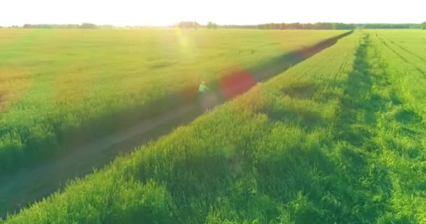Vue aérienne sur le jeune garçon, qui monte à vélo à travers un champ d'herbe de blé sur la vieille route rurale. Lumière du soleil et rayons. — Video
