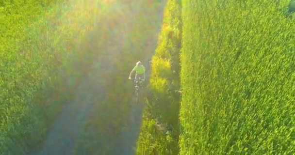 Vista aérea sobre o menino, que monta uma bicicleta através de um campo de grama de trigo na antiga estrada rural. Luz solar e vigas. — Vídeo de Stock