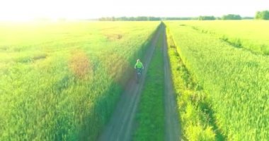 Kırsal yoldaki bir çim tarlasında bisiklet süren genç bir çocuğun hava manzarası. Güneş ışığı ve ışınlar.