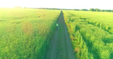 Kırsal yoldaki bir çim tarlasında bisiklet süren genç bir çocuğun hava manzarası. Güneş ışığı ve ışınlar.