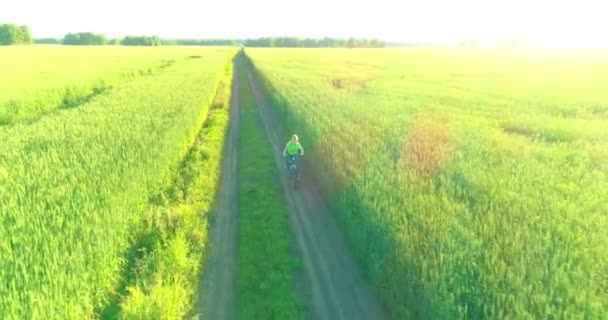 空中俯瞰着小男孩，那是骑自行车穿过老乡路上的麦田。阳光和光束. — 图库视频影像