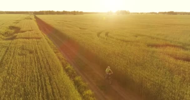 Vista aérea sobre el niño, que monta en bicicleta a través de un campo de hierba de trigo en el viejo camino rural. Luz solar y rayos. — Vídeos de Stock