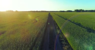 Kırsal yoldaki bir çim tarlasında bisiklet süren genç bir çocuğun hava manzarası. Güneş ışığı ve ışınlar.