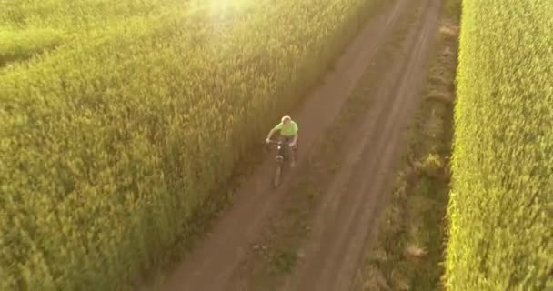 Vista aérea sobre o menino, que monta uma bicicleta através de um campo de grama de trigo na antiga estrada rural. Luz solar e vigas. — Vídeo de Stock