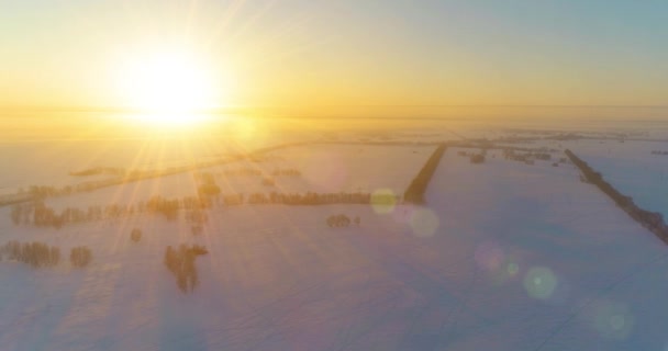 空中无人驾驶飞机俯瞰着寒冷的冬季风景，有北极的田野，被霜雪覆盖的树木和地平线上的晨曦. — 图库视频影像