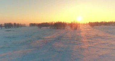 Arktik çayırlı soğuk kış manzarası, karla kaplı ağaçlar ve ufukta sabah güneşleri..