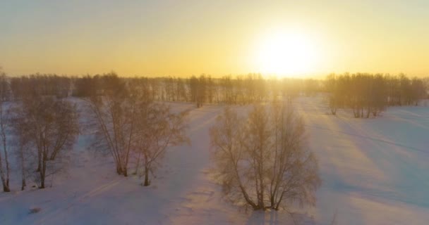 Воздушный беспилотник с видом на холодный зимний пейзаж с арктическим полем, деревья, покрытые морозным снегом и утренние солнечные лучи над горизонтом. — стоковое видео