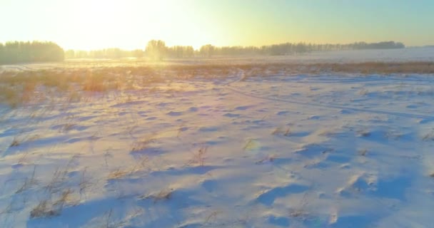 Luchtfoto drone uitzicht op koud winterlandschap met poolveld, bomen bedekt met vorst sneeuw en ochtendzon stralen over horizon. — Stockvideo