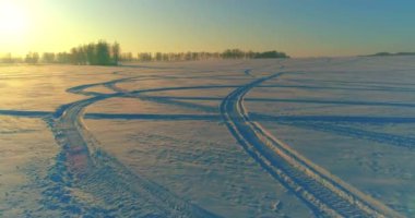 Arktik çayırlı soğuk kış manzarası, karla kaplı ağaçlar ve ufukta sabah güneşleri..