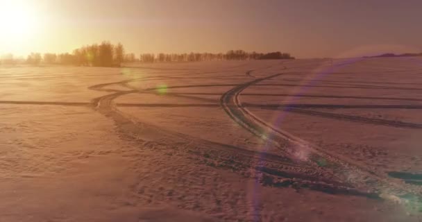 Vista aérea de drones del frío paisaje invernal con campo ártico, árboles cubiertos de nieve helada y rayos de sol matutinos sobre el horizonte. — Vídeo de stock