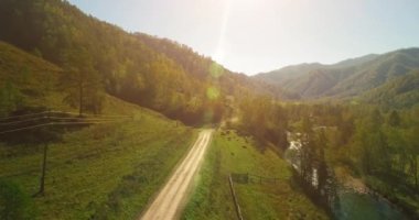 Taze dağ nehir ve çayır güneşli yaz sabahı, orta hava uçuş. Kırsal toprak yol aşağıda. İnek ve araba.