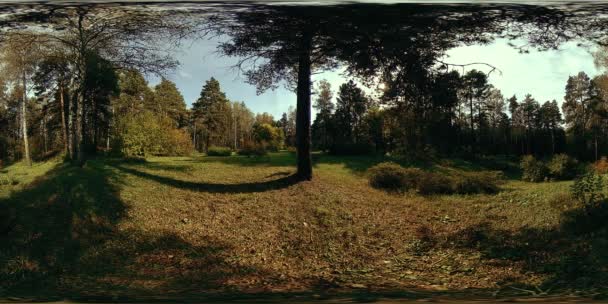 UHD 4K 360 VR Εικονική πραγματικότητα ενός χώρου αναψυχής του πάρκου της πόλης. Δέντρα και πράσινο γρασίδι το φθινόπωρο ή το καλοκαίρι — Αρχείο Βίντεο