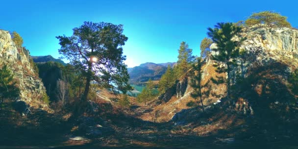 VR sceny góra jesień czas słoneczny. Dzikie góry, sosny i ogromne skały. — Wideo stockowe