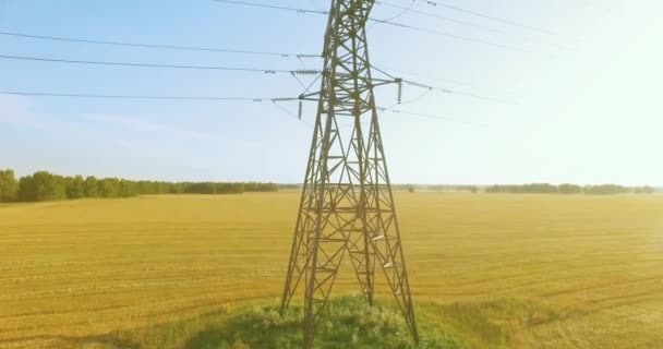 Vuelo de movimiento vertical cerca de la torre de alta tensión y líneas eléctricas en el campo verde y amarillo — Vídeos de Stock