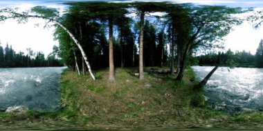 Vahşi bir ormanın 360 VR sanal gerçekliği. Çam ormanı, küçük, hızlı, soğuk dağ nehri. Ulusal park.