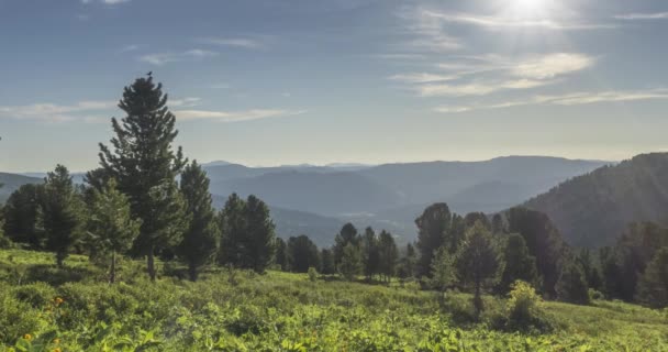 Mountain meadow timelapse. Wild nature and rural field. Clouds, trees, green grass and sun rays movement. Camera motion. — Stock Video