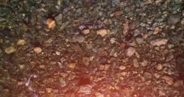 Güneşli yaz sabahında temiz ve taze bir dağ nehri üzerinde uçuşun ortasındayız. Üst görünüm ve yatay hareket