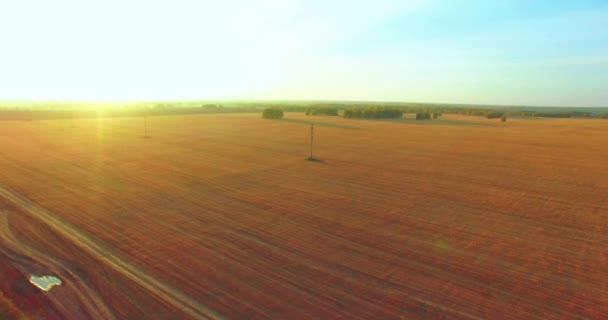 UHD 4K vista aérea. Vuelo en el aire sobre campo rural de trigo amarillo — Vídeos de Stock