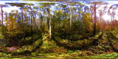 Bir şehir parkının UHD 4K 360 VR Sanal Gerçekliği. Sonbaharda ya da yaz gününde ağaçlar ve yeşil çimenler