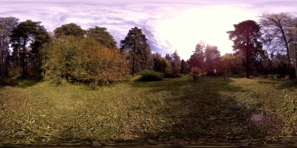 UHD 4K 360 VR Realtà Virtuale di un'area ricreativa del parco cittadino. Alberi ed erba verde al giorno d'autunno o d'estate — Video Stock