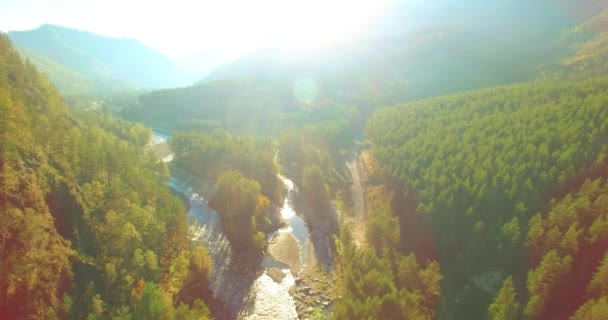 Low altitude flight over fresh fast mountain river with rocks at sunny summer morning. — Stock Video