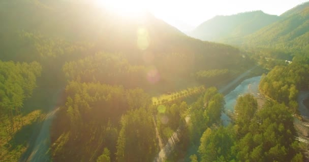 Lot na niskiej wysokości nad rzeką szybką, świeżą górską rzeką z kamieniami w słoneczny letni poranek. — Wideo stockowe