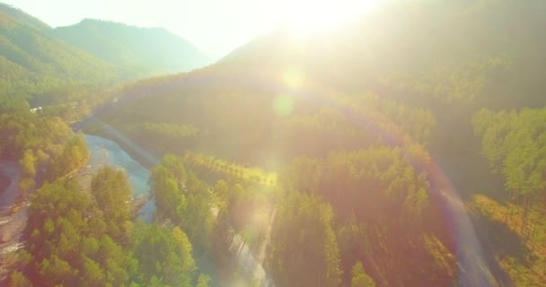 Low altitude flight over fresh fast mountain river with rocks at sunny summer morning. — Stock Video