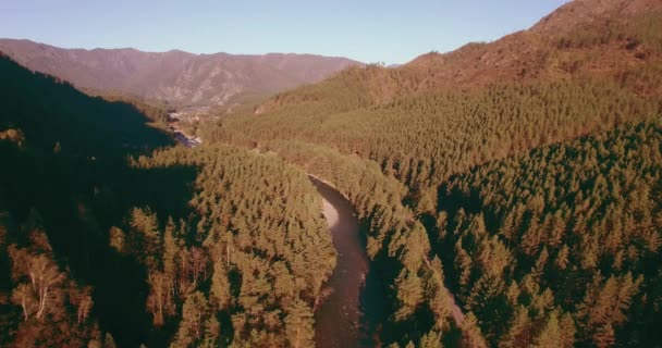 Laaggelegen vlucht over verse snelle bergrivier met rotsen op zonnige zomerochtend. — Stockvideo